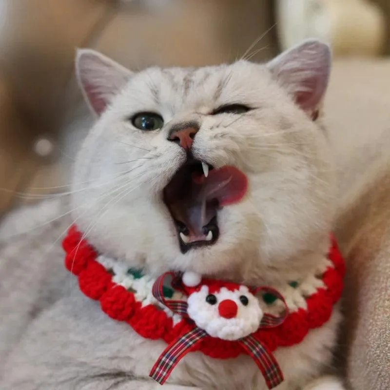 Christmas Bow Collar Bibs