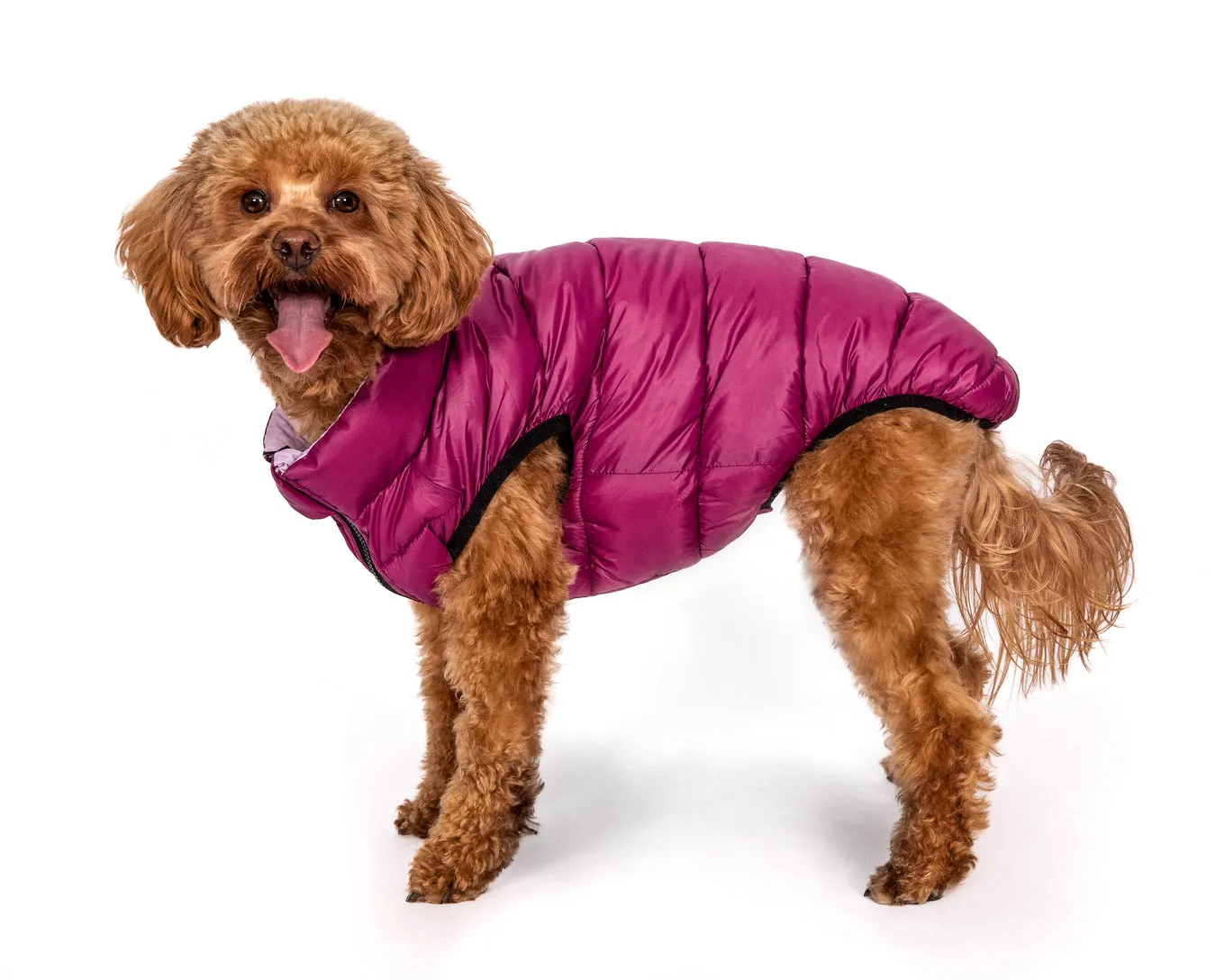 Fabdog Pack N Go Reversible Combo Puffer Jacket