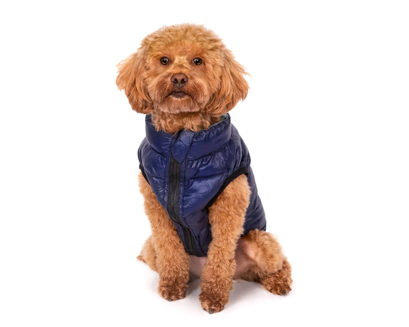 Fabdog Pack N Go Reversible Combo Puffer Jacket