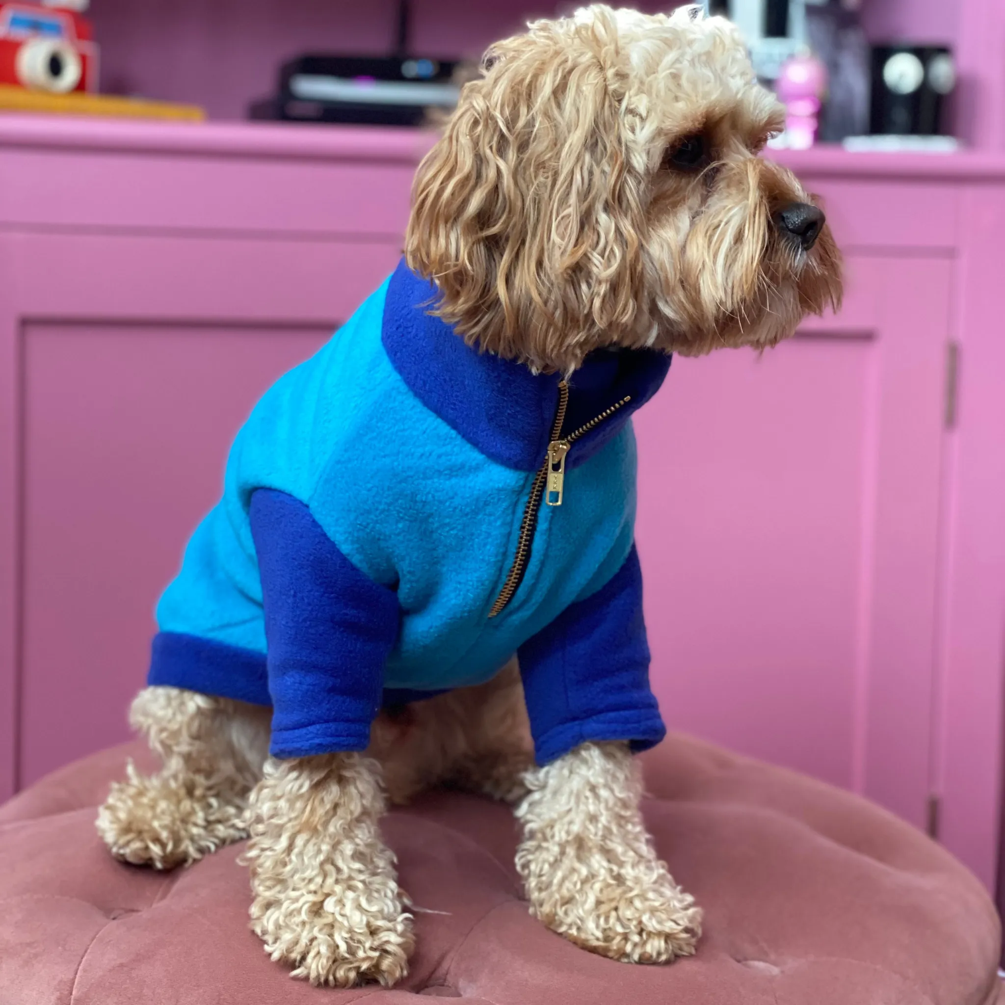 The Gatsby Fleece | Dog Jumper | Blue and Turquoise