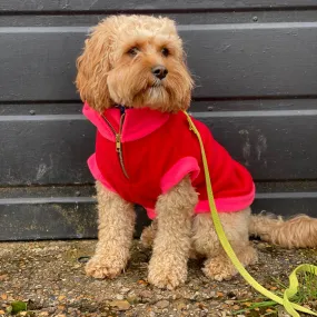 The Gatsby Fleece | Dog Jumper | Red and Pink